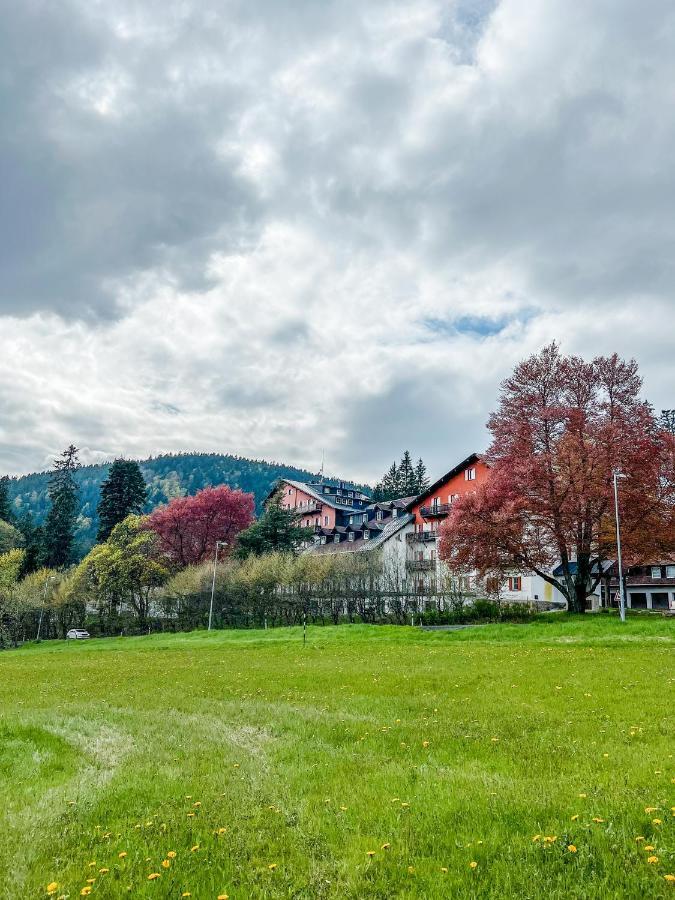 Apartament Prokop Železná Ruda Zewnętrze zdjęcie
