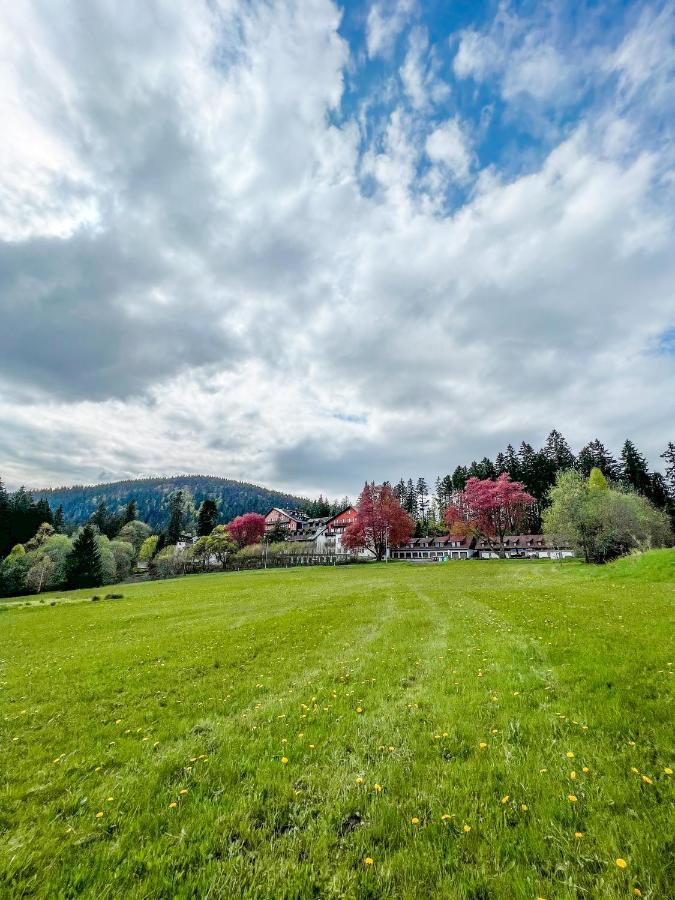 Apartament Prokop Železná Ruda Zewnętrze zdjęcie